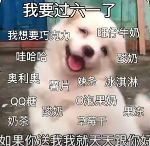 娱乐爆料文案沙雕小技巧,轻松掌握趣味文案小技巧