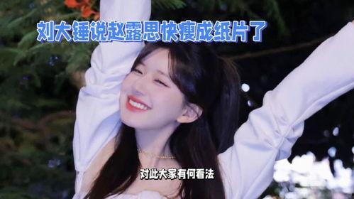 刘大锤最新爆料赵露思12人,从默默无闻到璀璨星途 第2张 刘大锤最新爆料赵露思12人,从默默无闻到璀璨星途 第2张