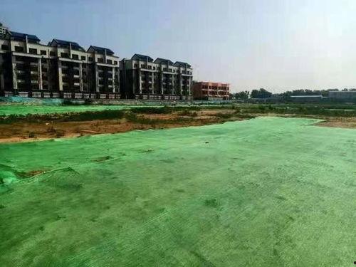 山东滨州最新爆料,揭秘背后惊人真相  第3张